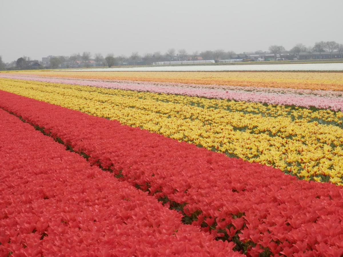 Home For 2 Zuidoostbeemster ภายนอก รูปภาพ